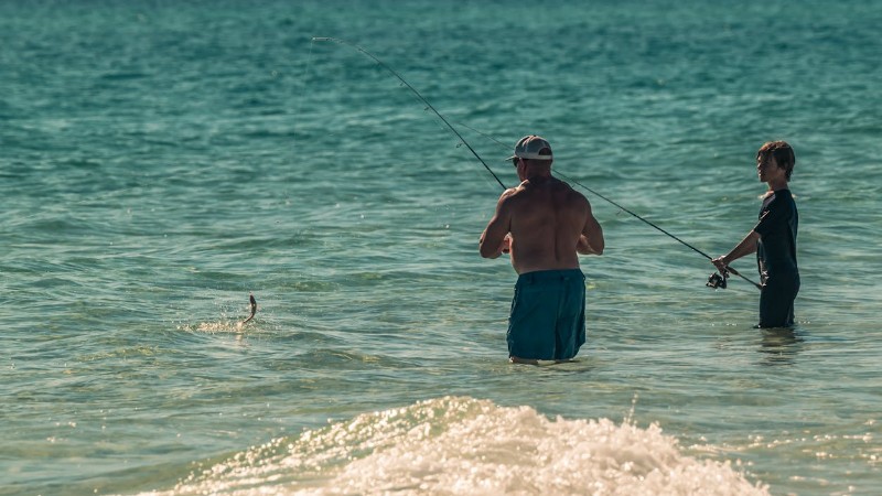 A father and son enjoy a sunny day while fishing in the ocean., tags: moderne den sport - pexel