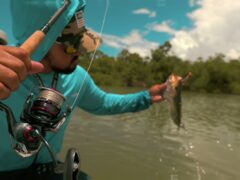 Video Screenshot, tags: ballistic mq lt - youtube