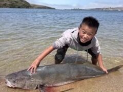 Stock Photo, tags: 13-jähriger angler weltrekord - gray-kvly-prod.gtv-cdn.com