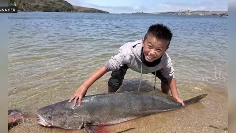 Stock Photo, tags: 13-jähriger angler weltrekord - gray-kvly-prod.gtv-cdn.com