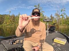 Video Screenshot, tags: jerkbaits ganzjährig - youtube