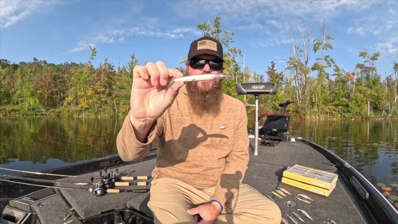Video Screenshot, tags: jerkbaits ganzjährig - youtube