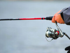 Fortschritte bei Baitcaster-Rollen verbessern das Meeresangeln